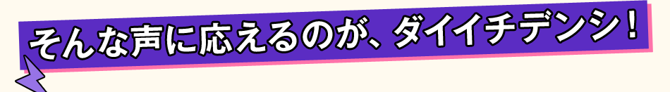 そんな声に応えるのが、ダイイチデンシ！